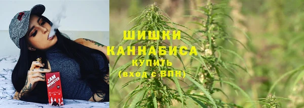 трава Беломорск