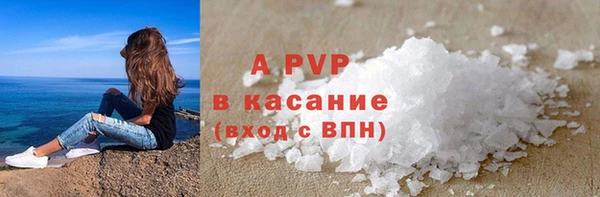 гашик Белокуриха