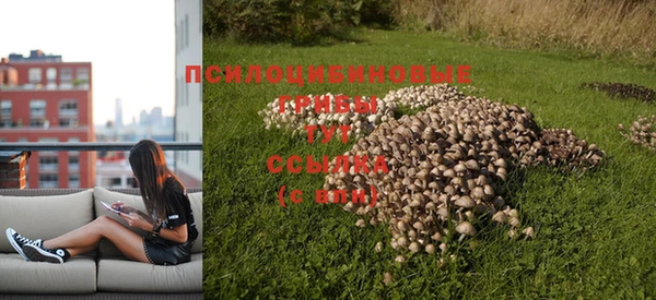 трава Беломорск