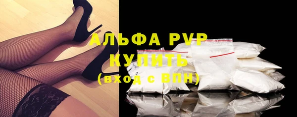 гашик Белокуриха