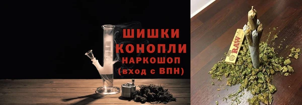 гашик Белокуриха