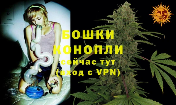 гашик Белокуриха