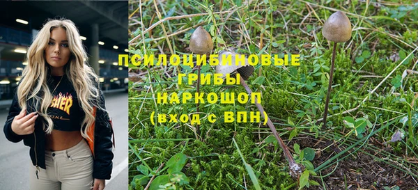 трава Беломорск