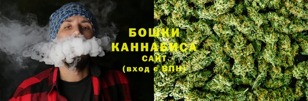гашик Белокуриха
