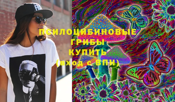 трава Беломорск